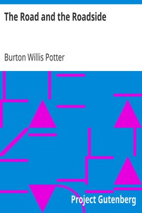 The Road and the Roadside book cover